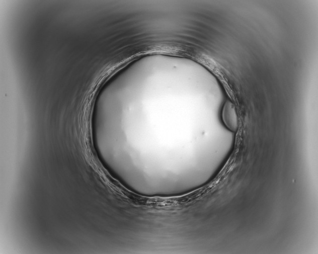 X0000094080337200711021517
