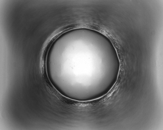 X0000094080343200711021517