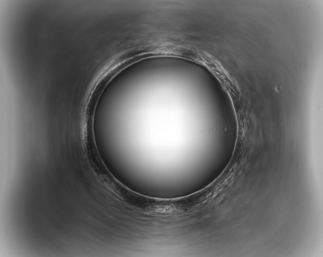 X0000094080344200711021517