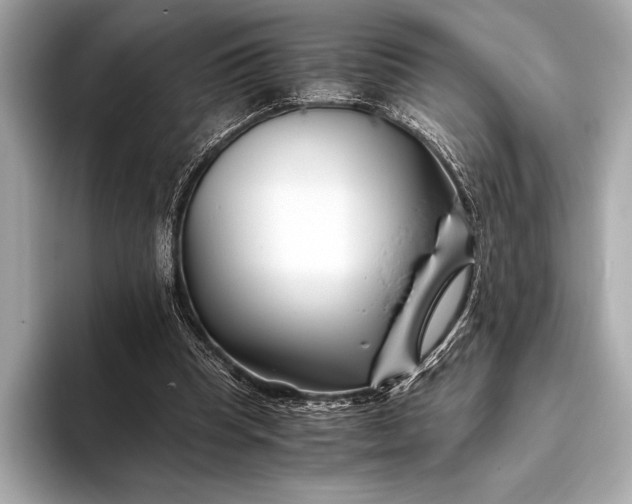X0000094080345200711021517