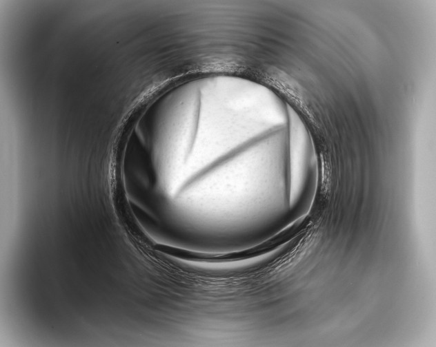 X0000094080348200711021517