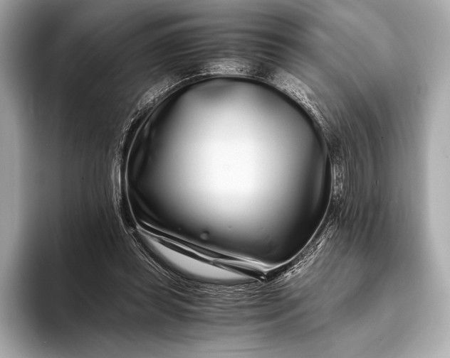 X0000094080349200711021517