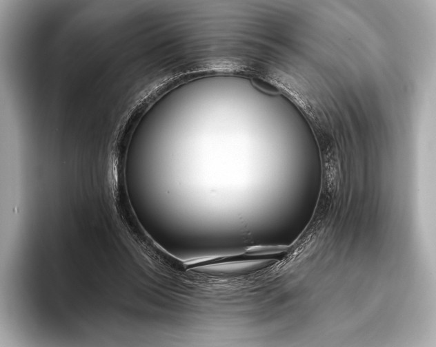 X0000094080350200711021517
