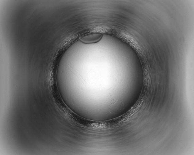 X0000094080354200711021517