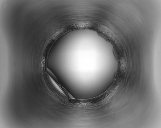 X0000094080356200711021517