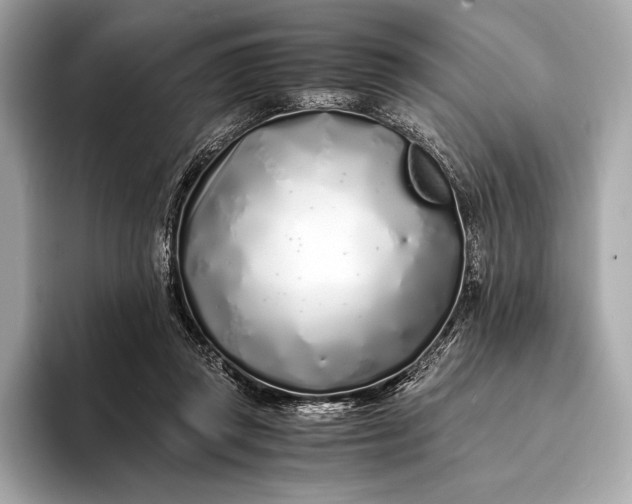 X0000094080357200711021517