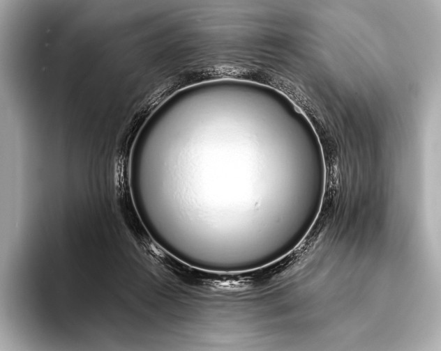 X0000094080360200711021517