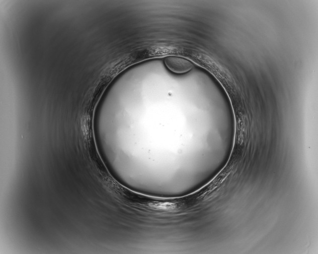 X0000094080361200711021517