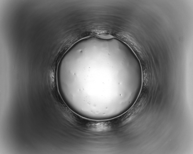X0000094080365200711021517