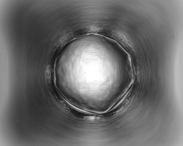 X0000094080366200711021517
