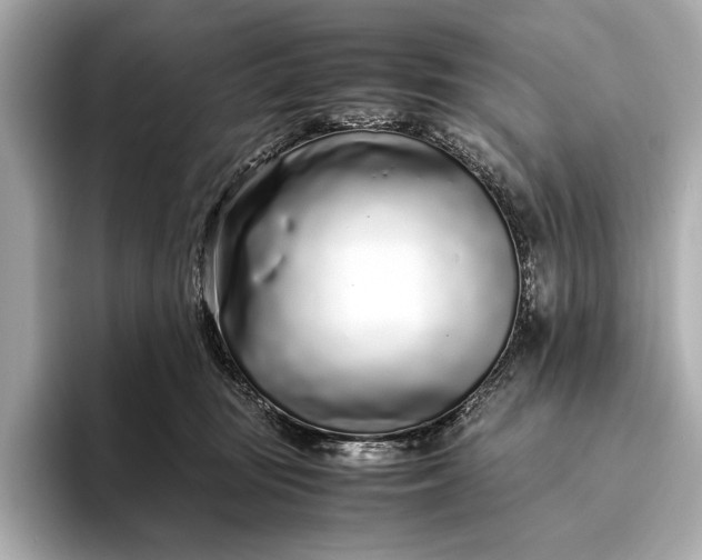 X0000094080371200711021517