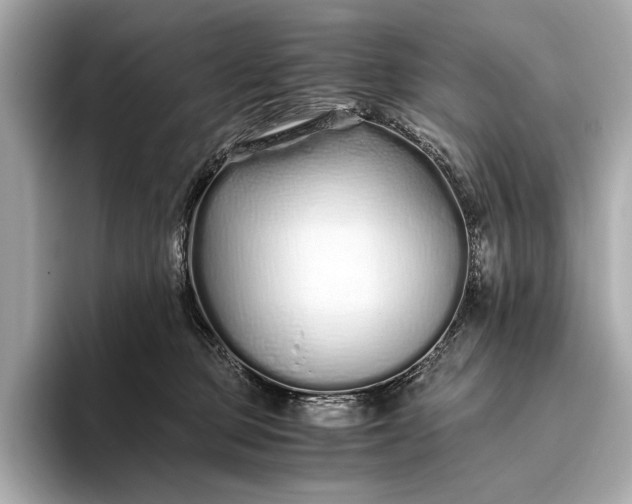 X0000094080373200711021517