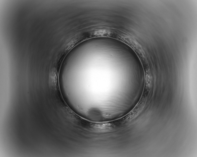 X0000094080375200711021517