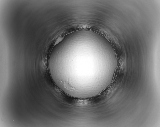 X0000094080376200711021517