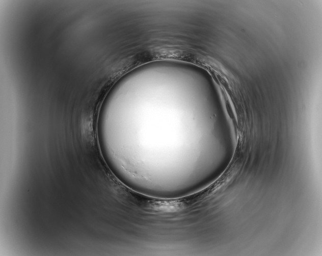 X0000094080377200711021517