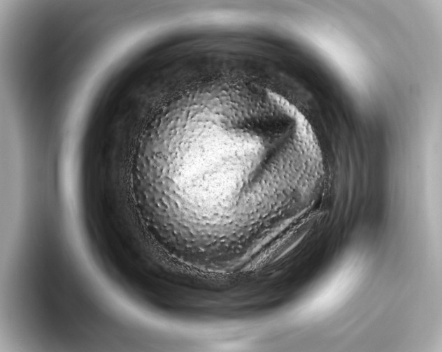 X0000094080383200711021517