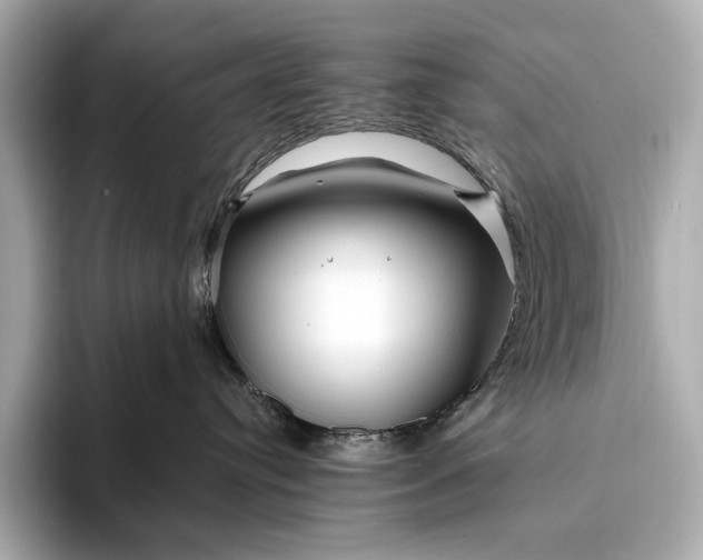 X0000094080384200711021518