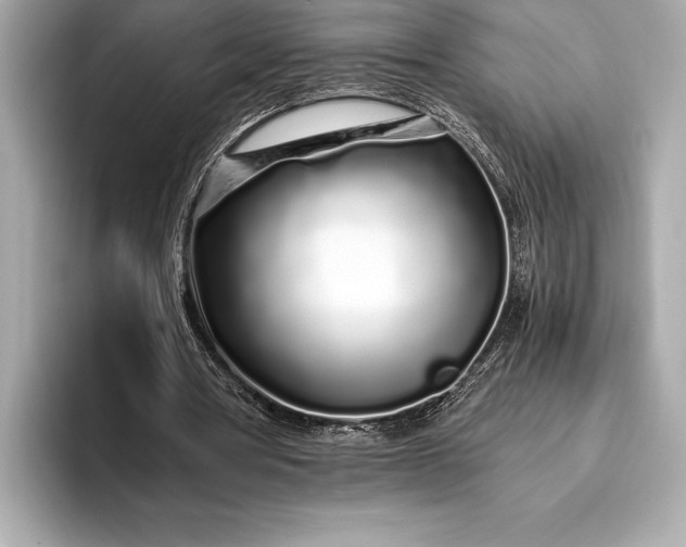 X0000094080386200711021517