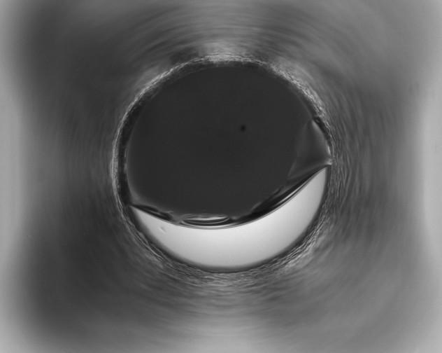 X0000094080391200711021517