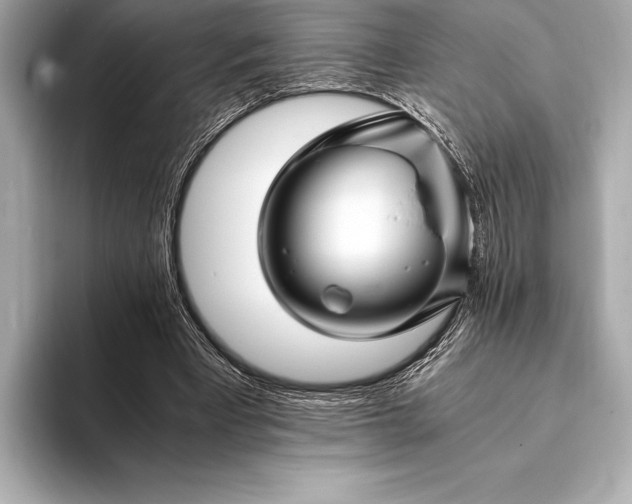 X0000094080393200711021517