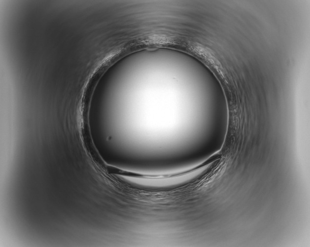 X0000094080395200711021517