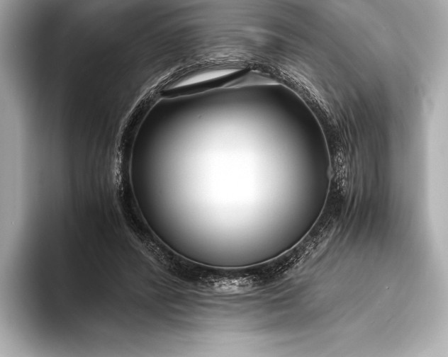 X0000094080400200711021517