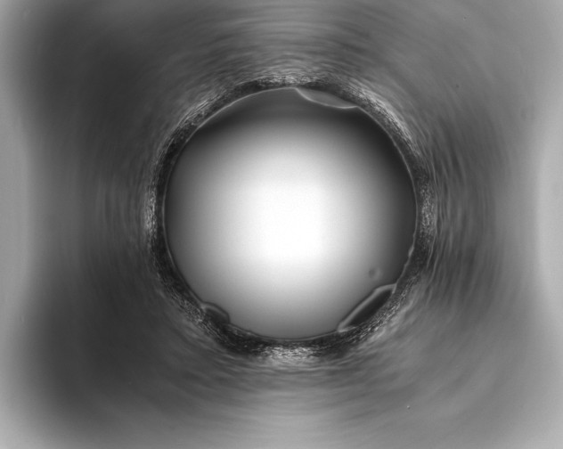 X0000094080403200711021517