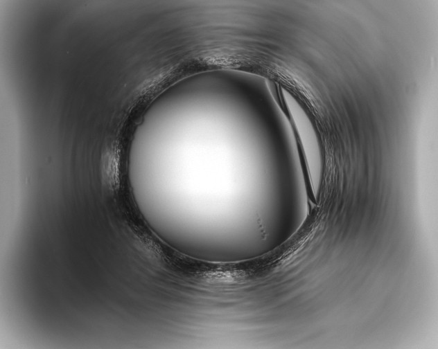 X0000094080404200711021517