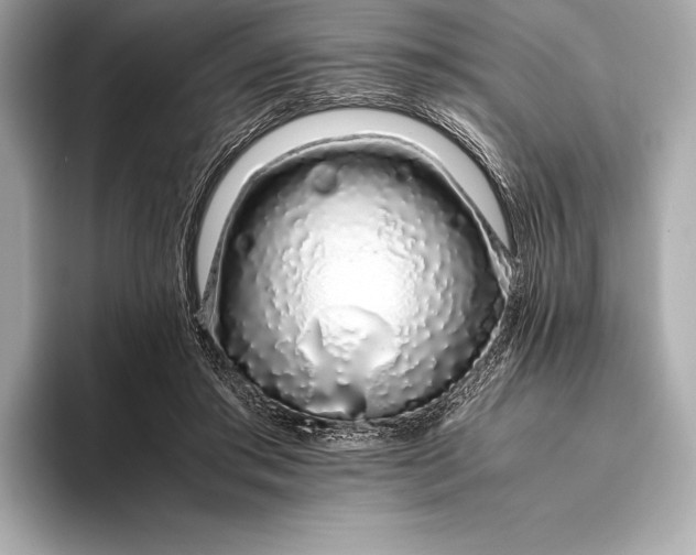 X0000094080405200711021517