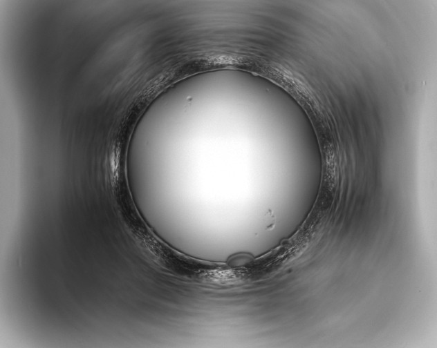 X0000094080406200711021517