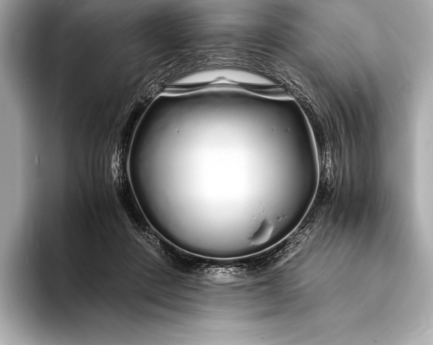 X0000094080408200711021517
