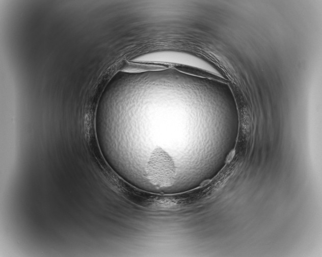 X0000094080409200711021517