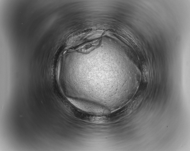 X0000094080410200711021517