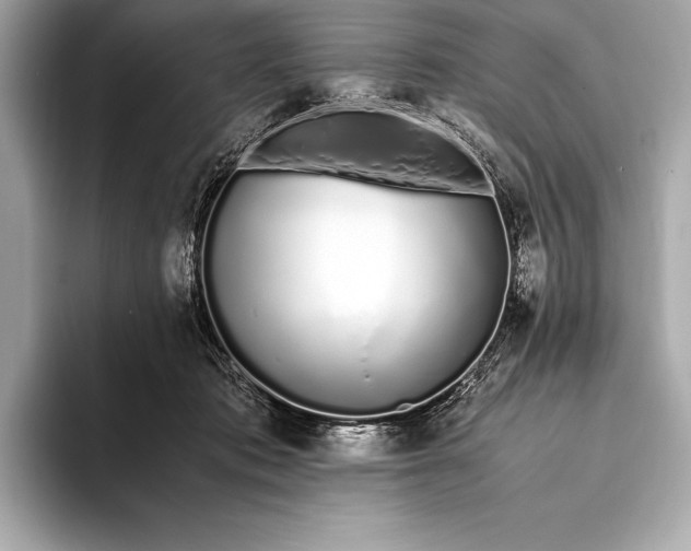 X0000094080413200711021517