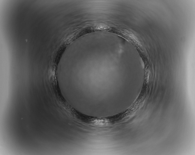 X0000094080415200711021517