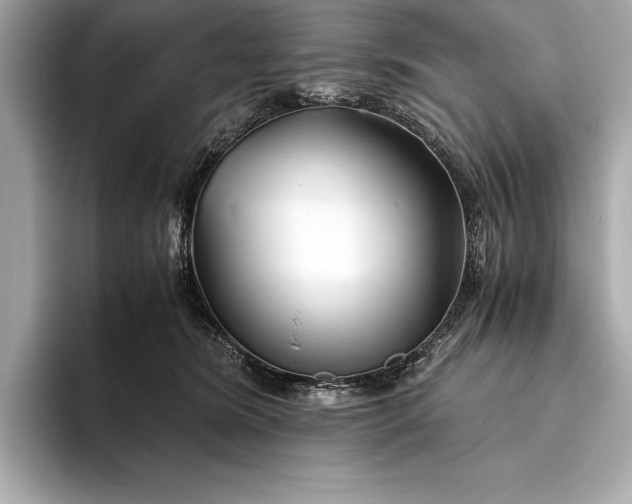 X0000094080420200711021517