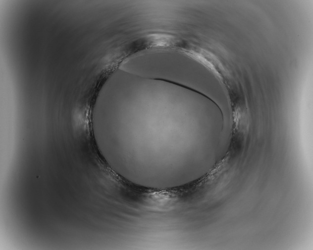 X0000094080423200711021516