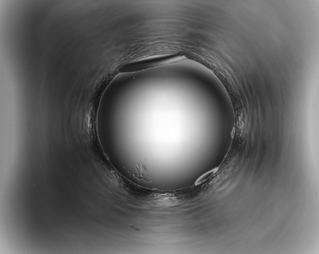 X0000094080424200711021516