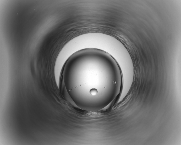 X0000094080429200711021516