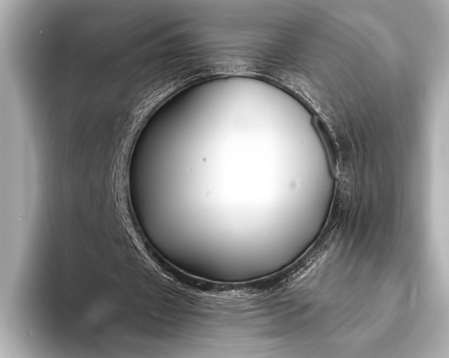 X0000094080433200711021516