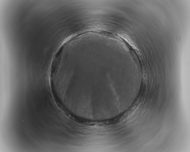 X0000094080434200711021516