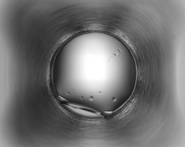 X0000094080437200711021516