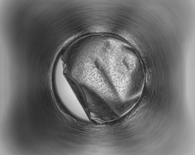 X0000094080438200711021516