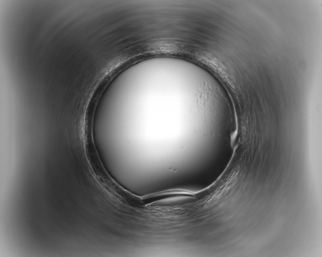 X0000094080439200711021516