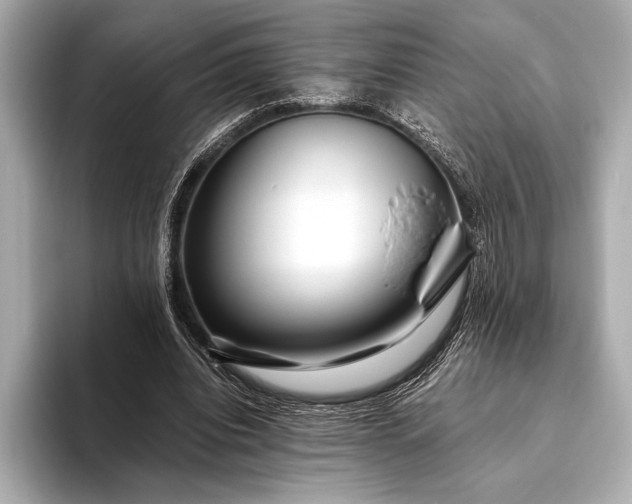 X0000094080440200711021516