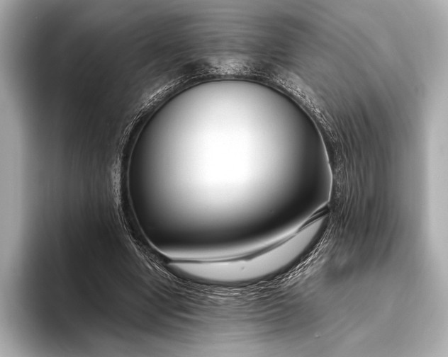 X0000094080442200711021516