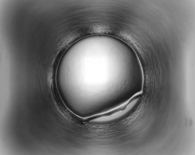 X0000094080443200711021516