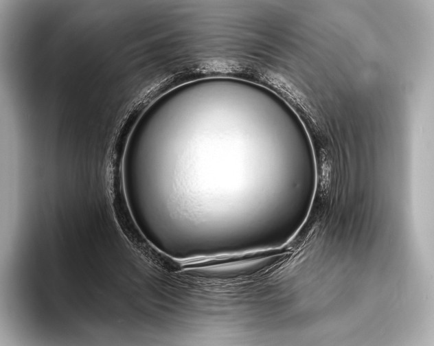 X0000094080444200711021516