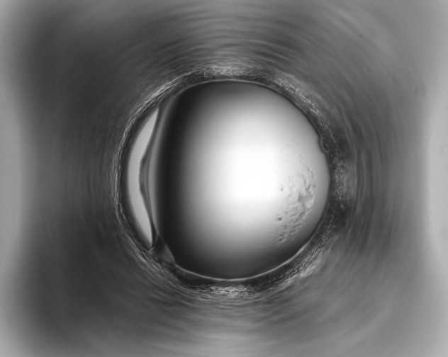 X0000094080446200711021516