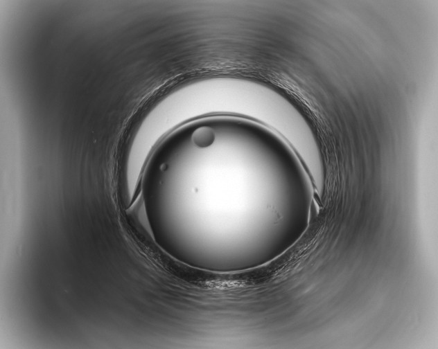 X0000094080448200711021516